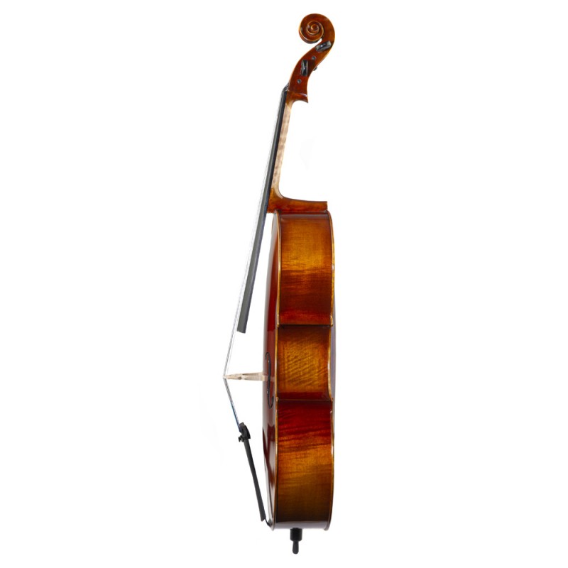 Violoncello F.Müller Soloist 4/4 (Violoncello Solo)